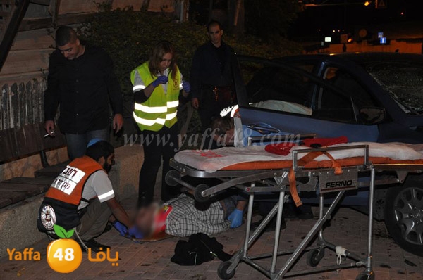 acc 7eshmona2em palmtree (2).JPG